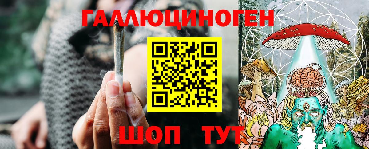 Псилоцибиновые грибы мицелий Аша